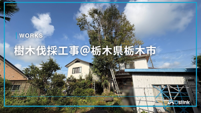 樹木伐採工事@栃木県栃木市