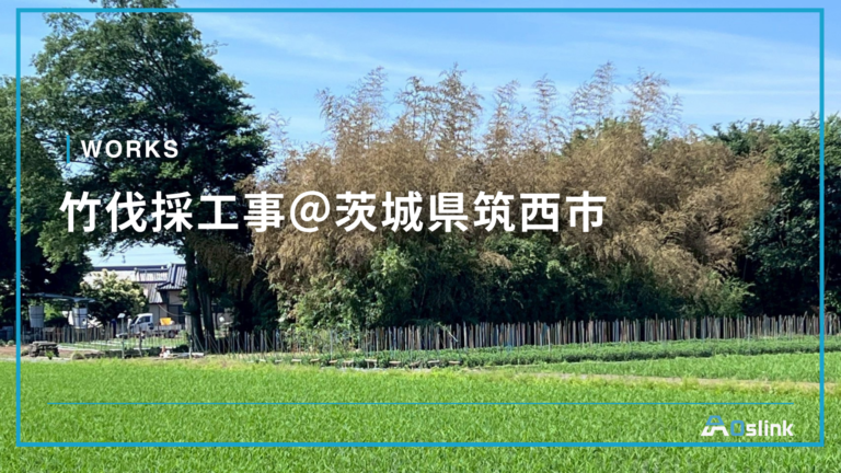 竹伐採工事＠茨城県筑西市