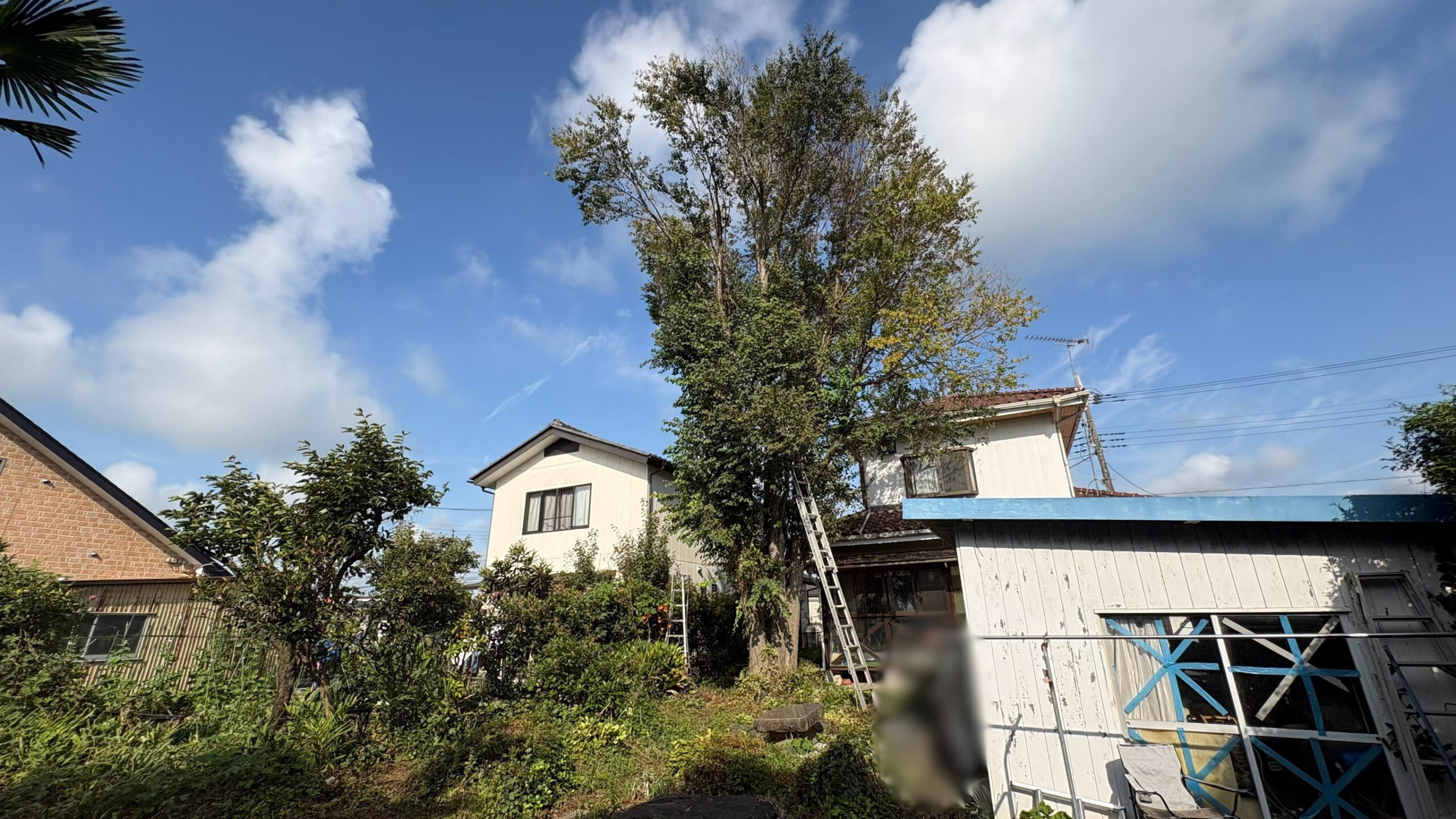 樹木伐採工事@栃木県栃木市