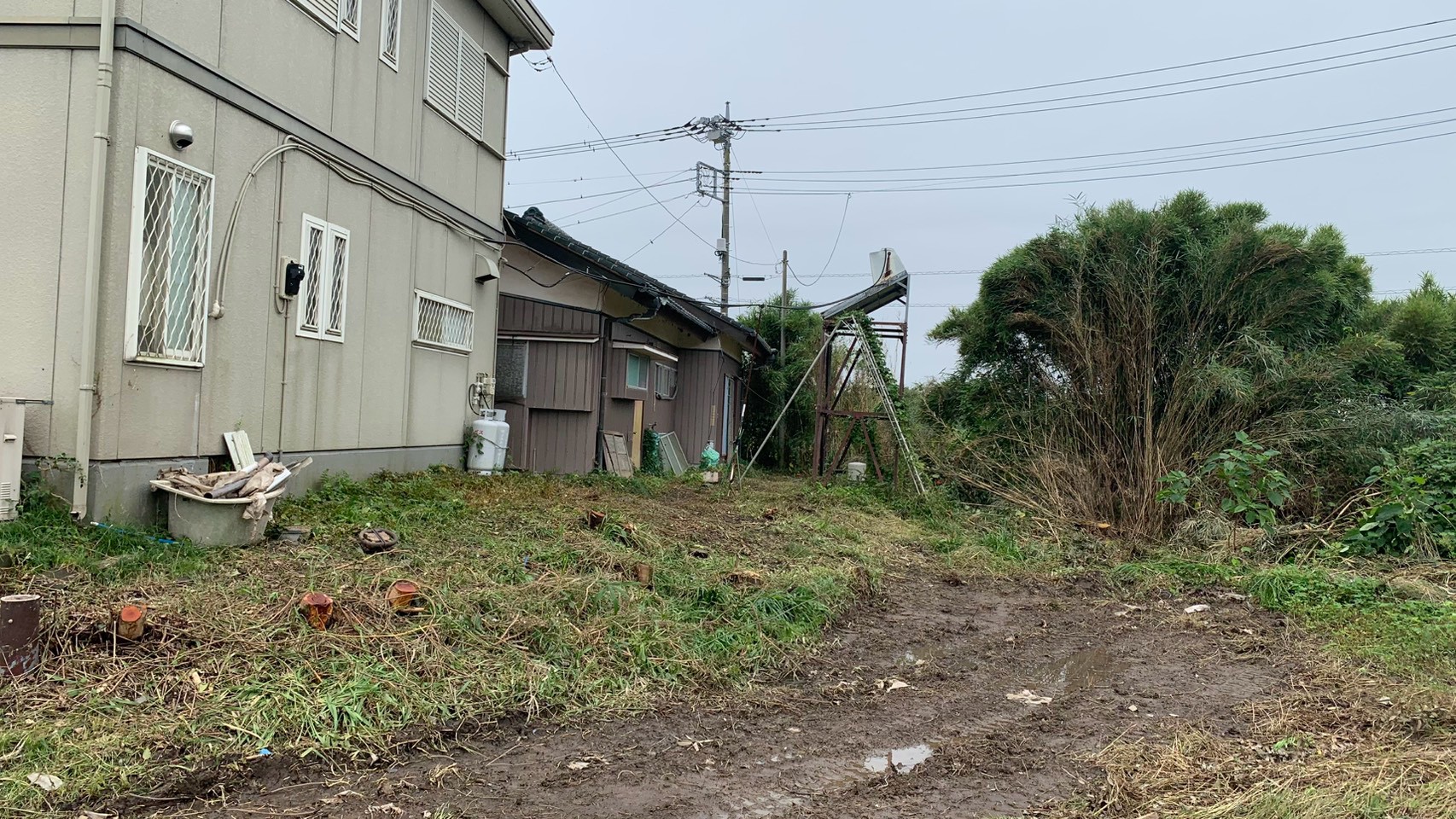 庭木伐採工事@栃木県小山市