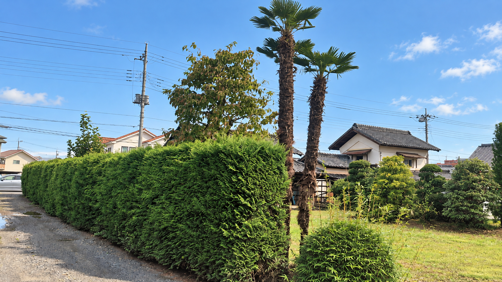 伐採・伐根工事/整地工事 @栃木県栃木市