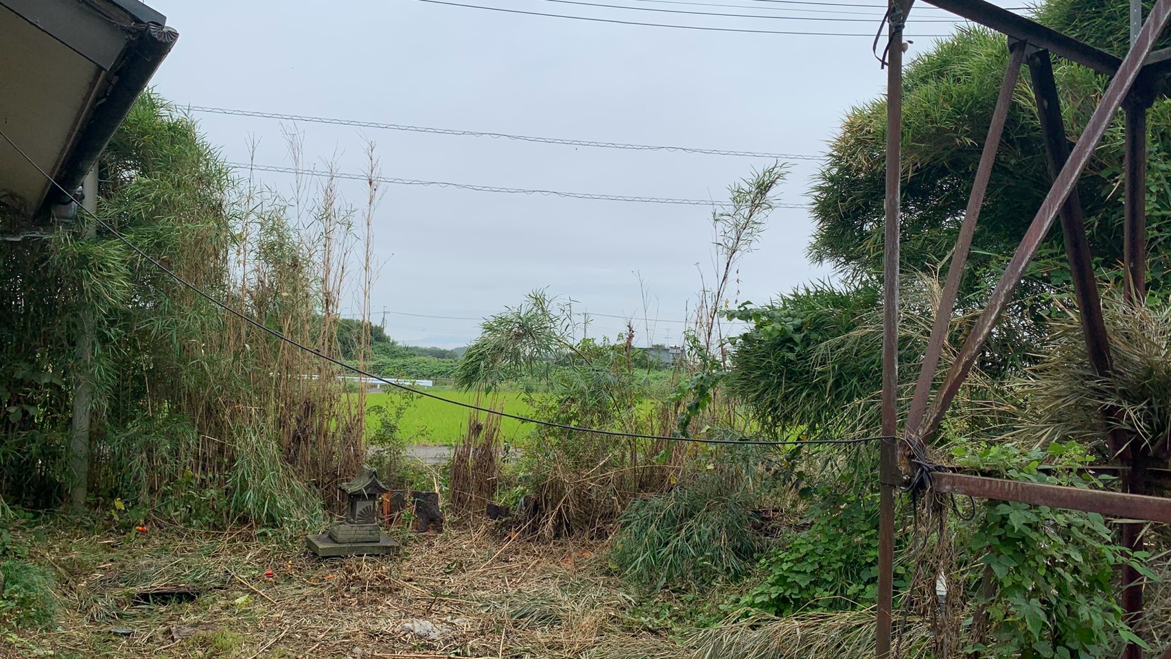 庭木伐採工事@栃木県小山市