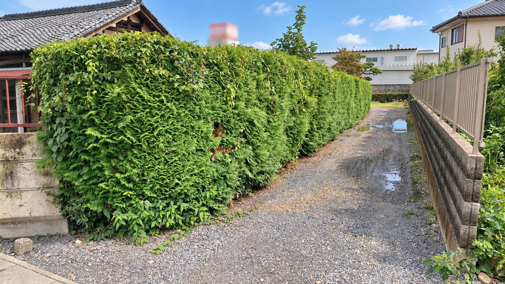伐採・伐根工事/整地工事 @栃木県栃木市
