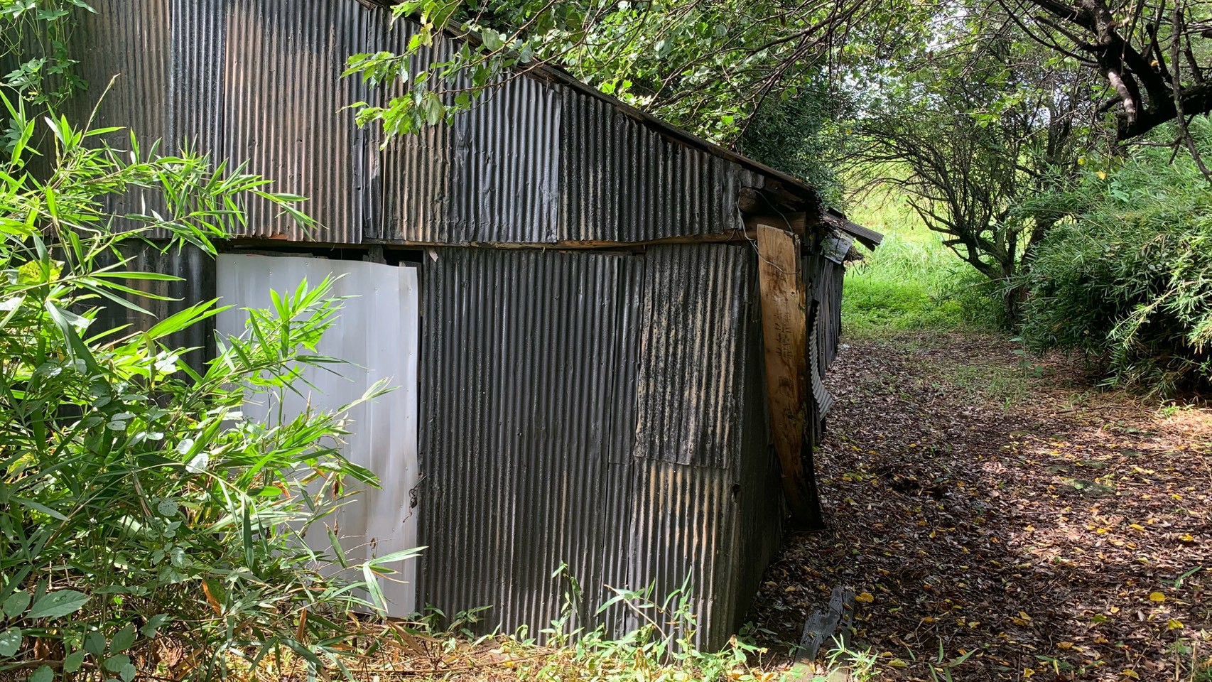 伐採・伐根・除草工事/砕石敷設工事/小屋解体工事@茨城県古河市