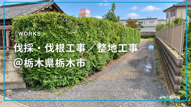 伐採・伐根工事/整地工事 @栃木県栃木市