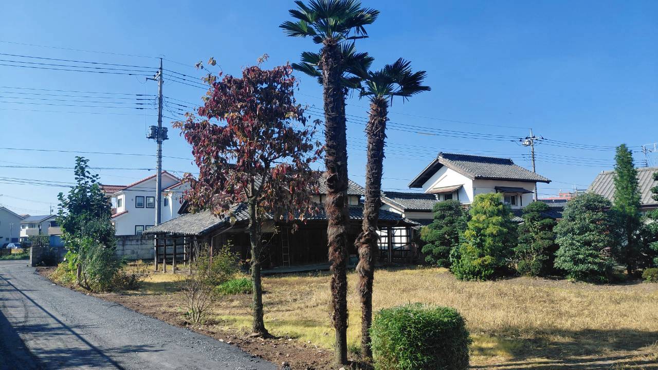 伐採・伐根工事/整地工事 @栃木県栃木市