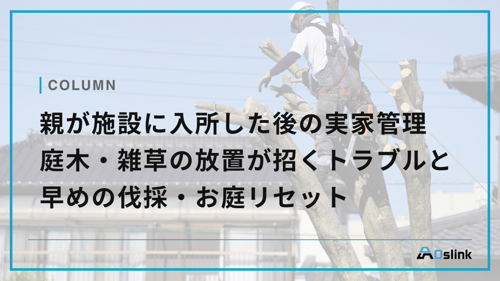 親が施設に入所した後の実家管理｜庭木・雑草の放置が招くトラブルと早めのお庭整理