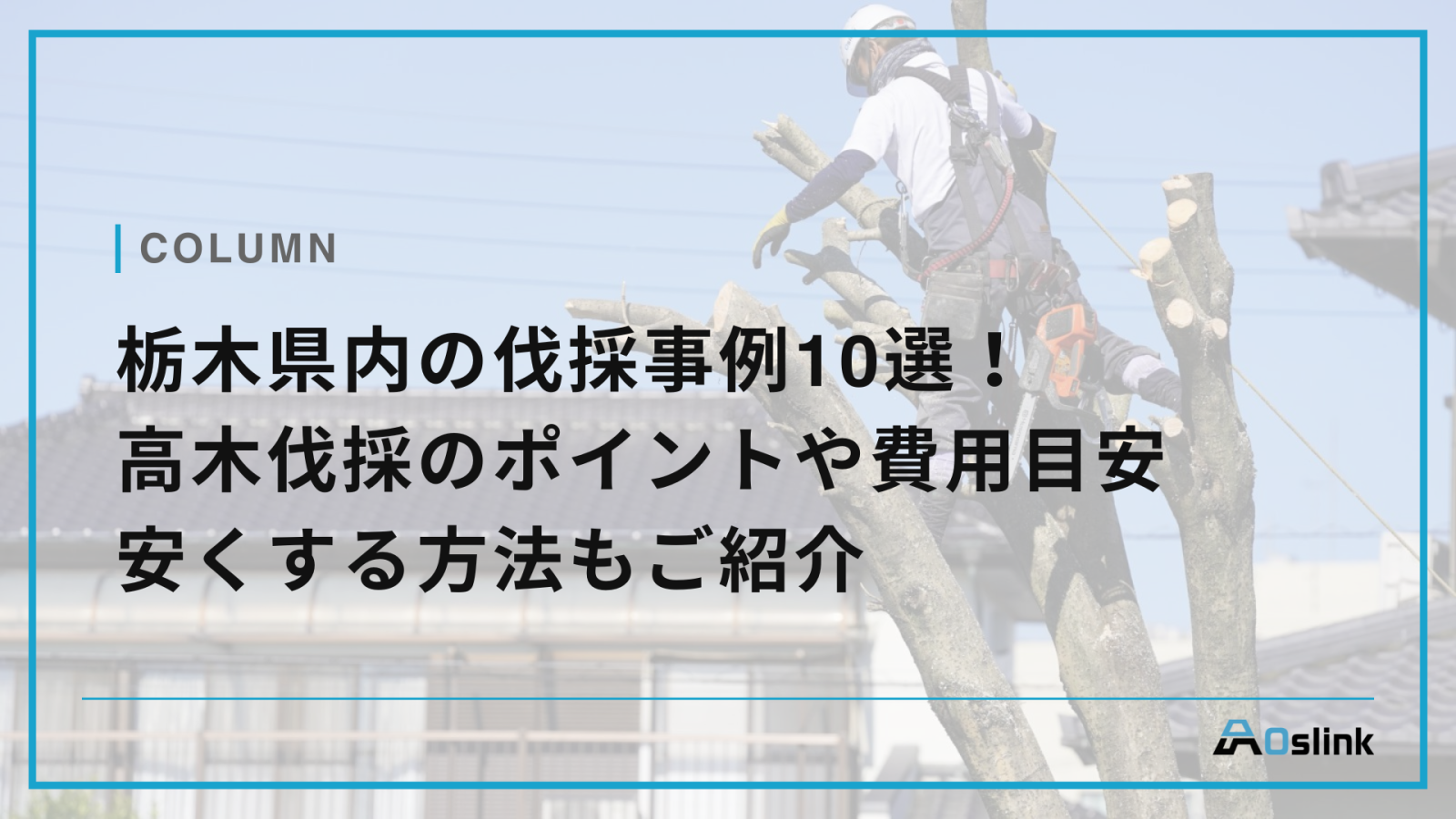栃木県内の伐採事例10選！高木伐採のポイントや費用目安｜安くする方法もご紹介