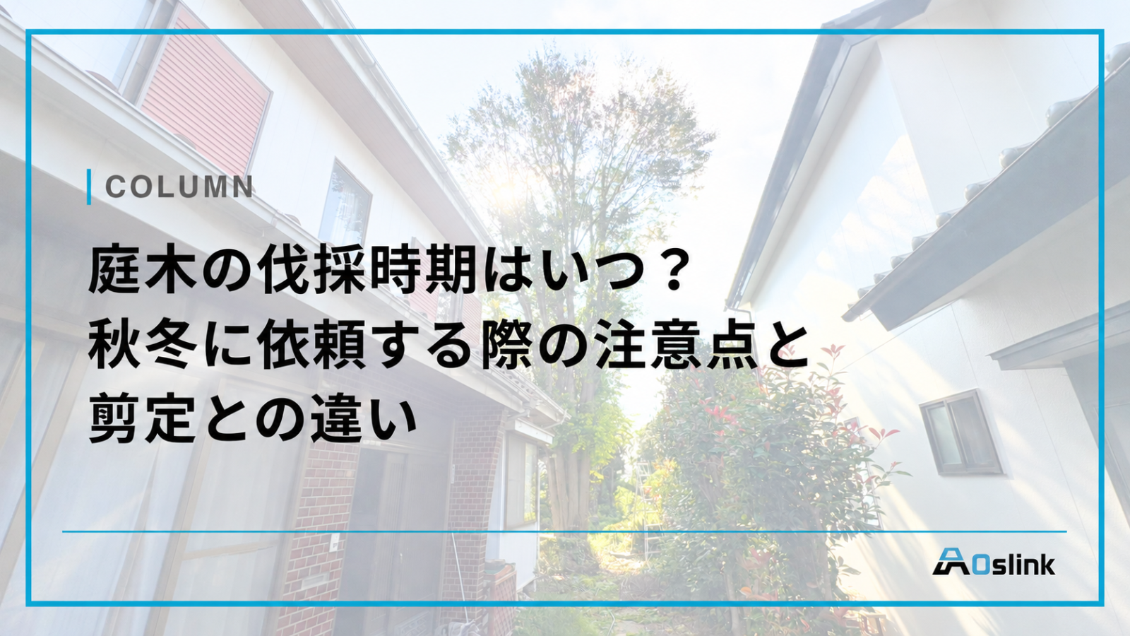 庭木の伐採時期と注意点