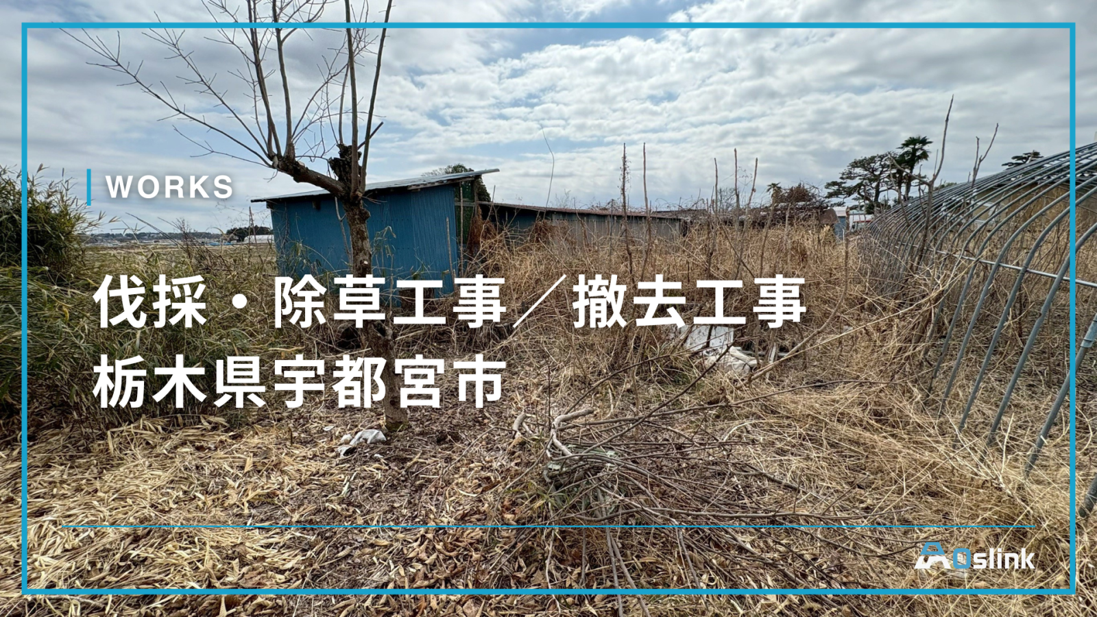 伐採・除草工事／撤去工事＠栃木県宇都宮市