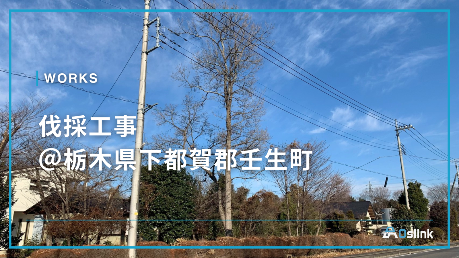 伐採工事 ＠栃木県下都賀郡壬生町