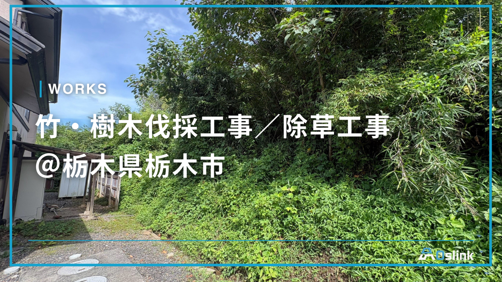 竹・樹木伐採工事／除草工事＠栃木県栃木市