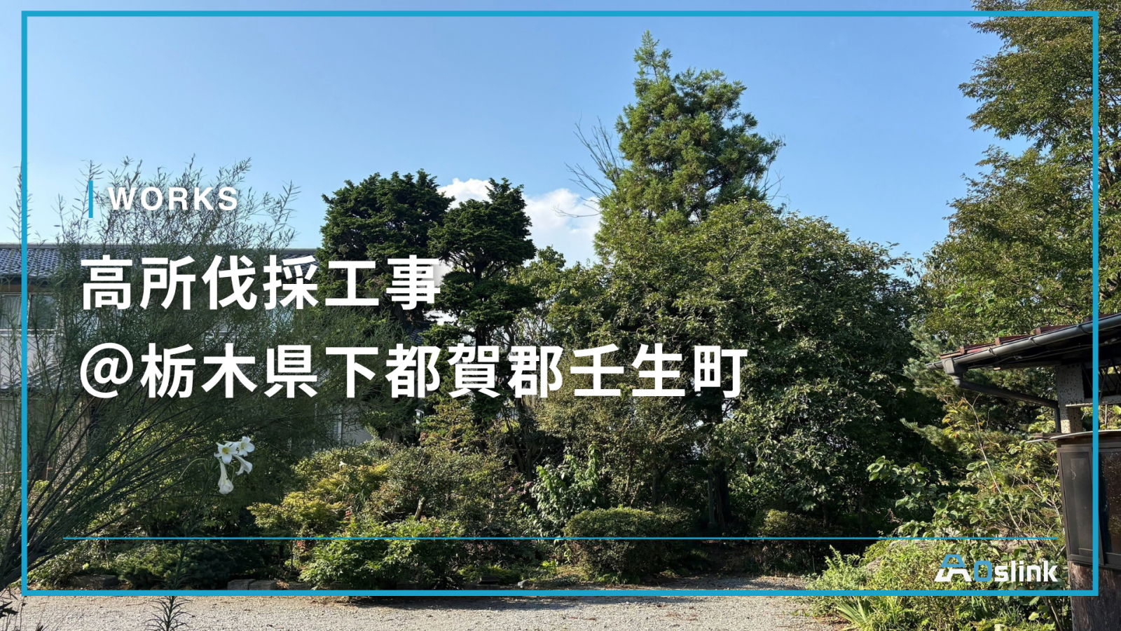 高所伐採工事 ＠栃木県下都賀郡壬生町