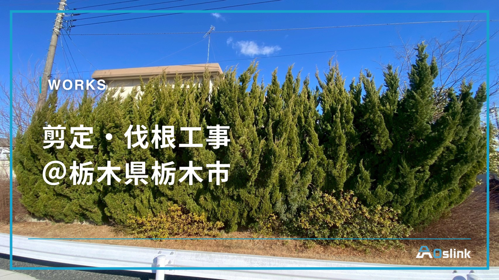 剪定・伐根工事 ＠栃木県栃木市