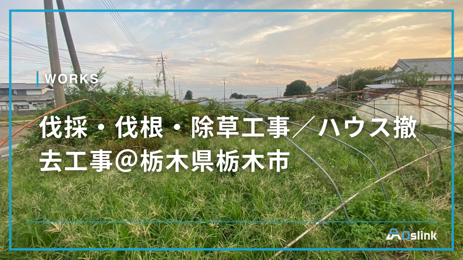 伐採・伐根・除草工事／ハウス撤去工事＠栃木県栃木市