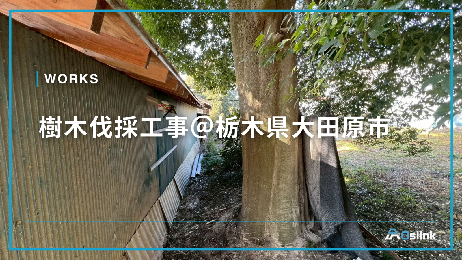 樹木伐採工事＠栃木県大田原市