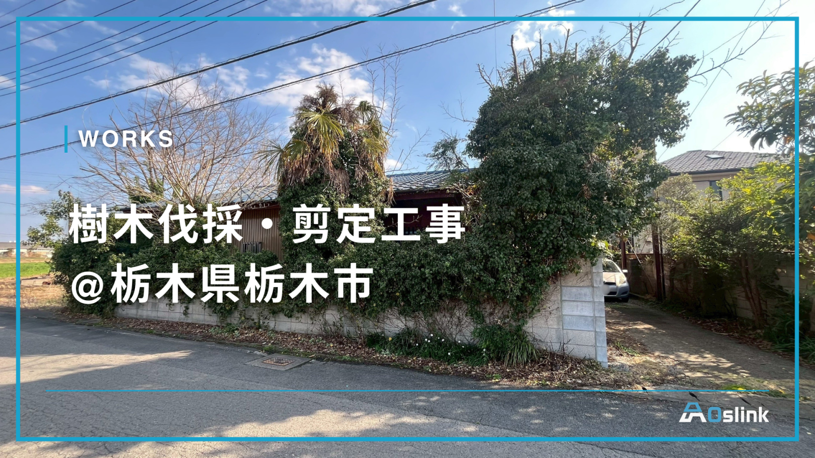 樹木伐採・剪定工事 @栃木県栃木市