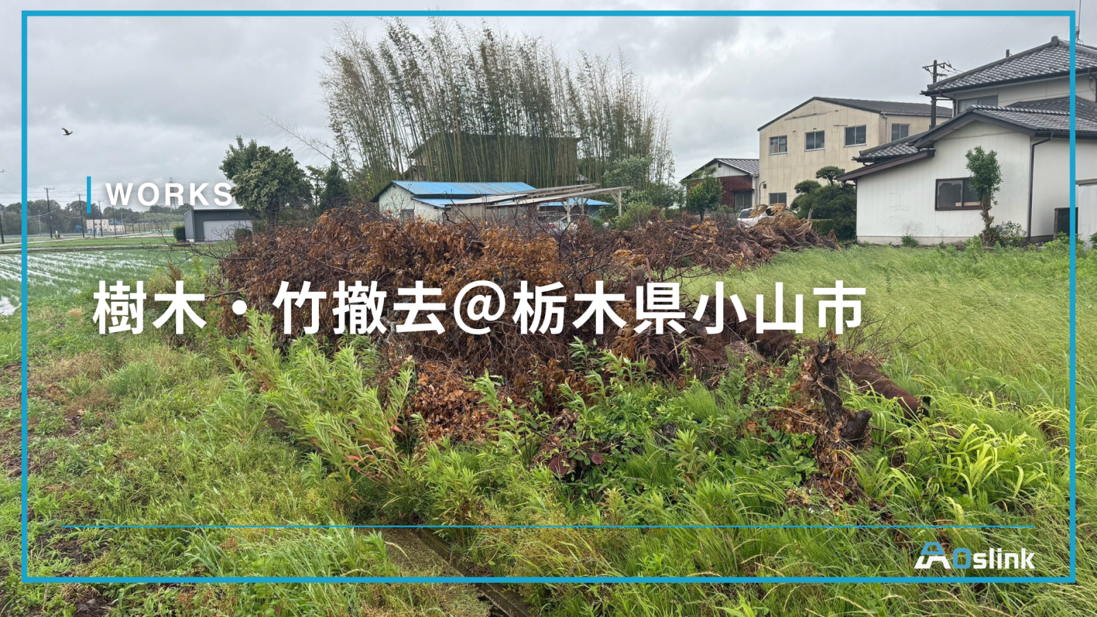 樹木・竹撤去＠栃木県小山市