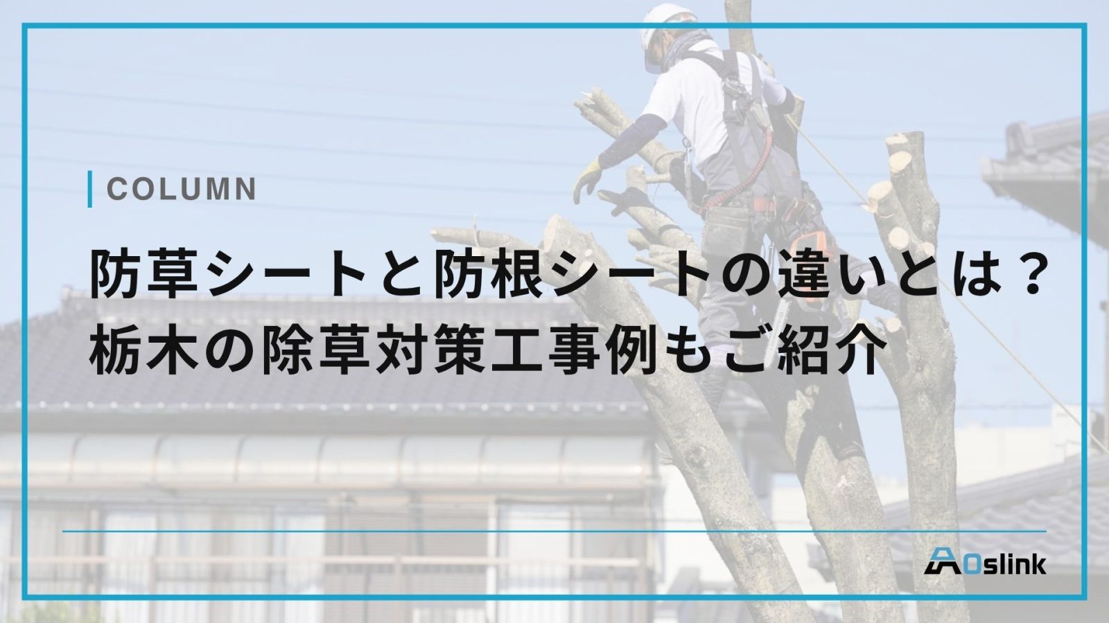 防草シートと防根シートの違いとは？栃木の除草対策工事例もご紹介