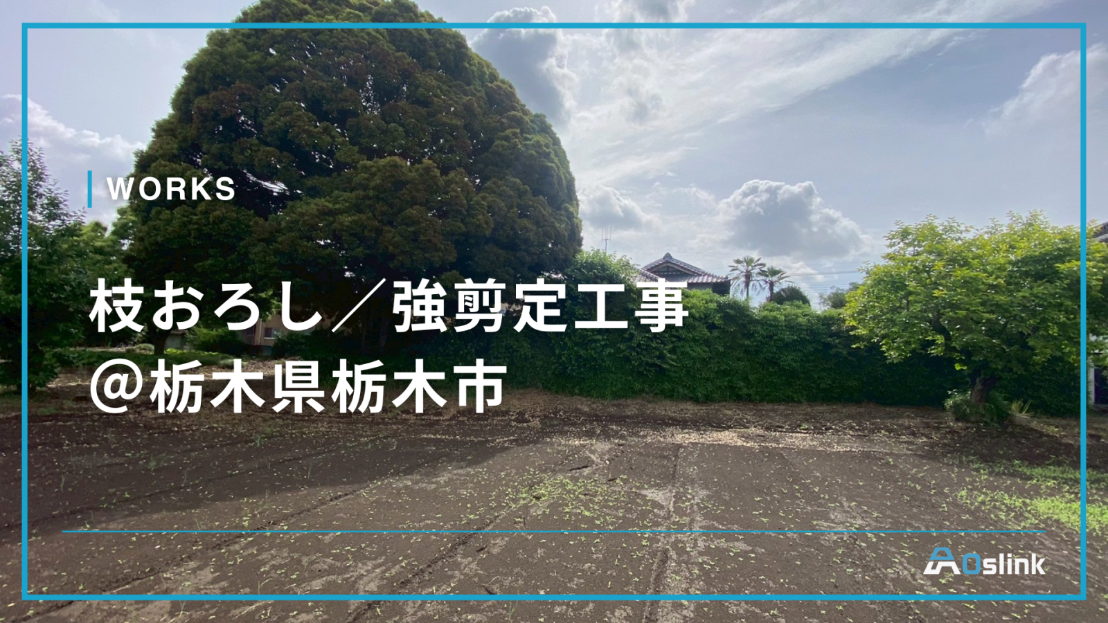 枝おろし／強剪定＠栃木県栃木市