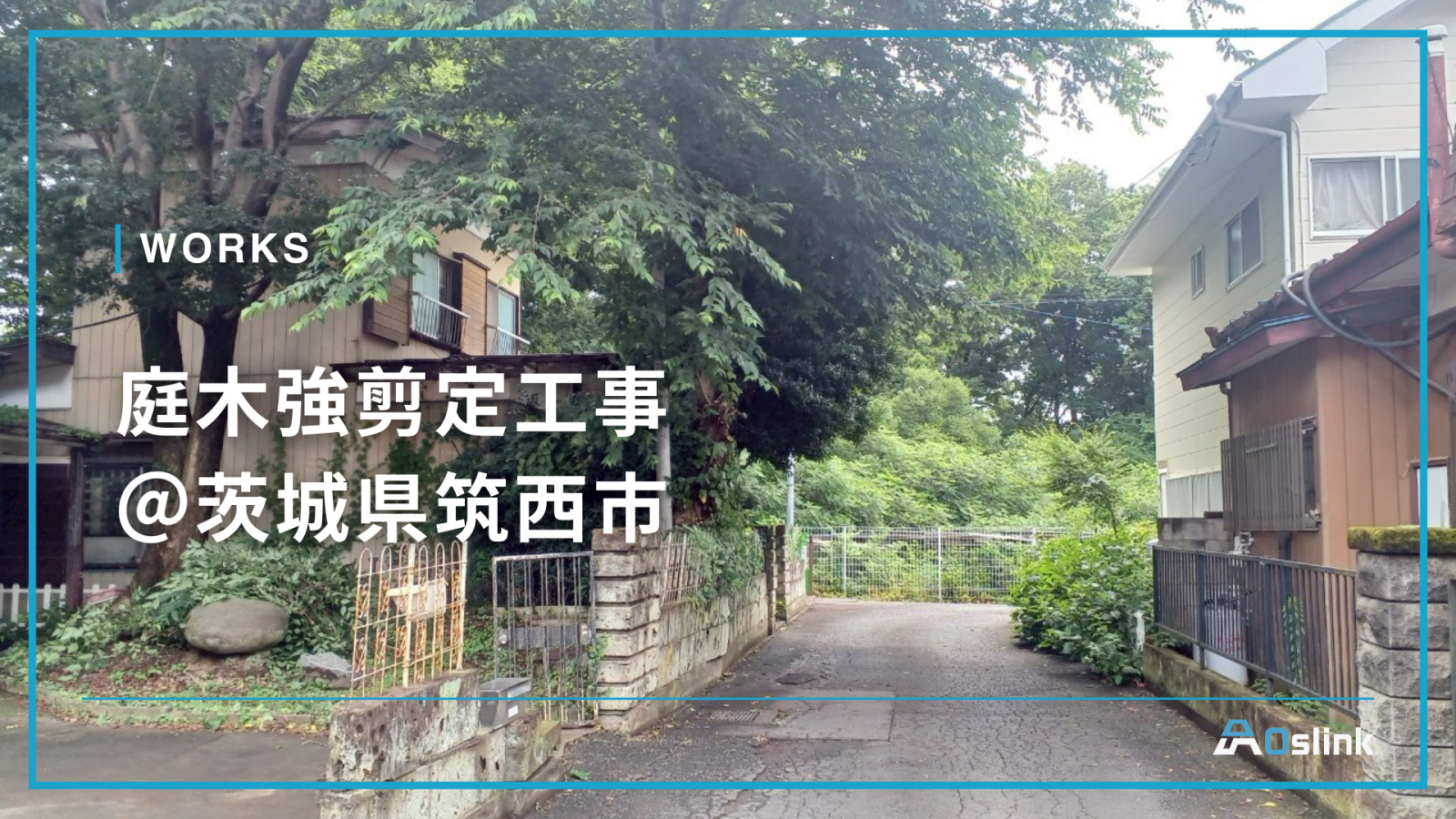 庭木強剪定＠茨城県筑西市
