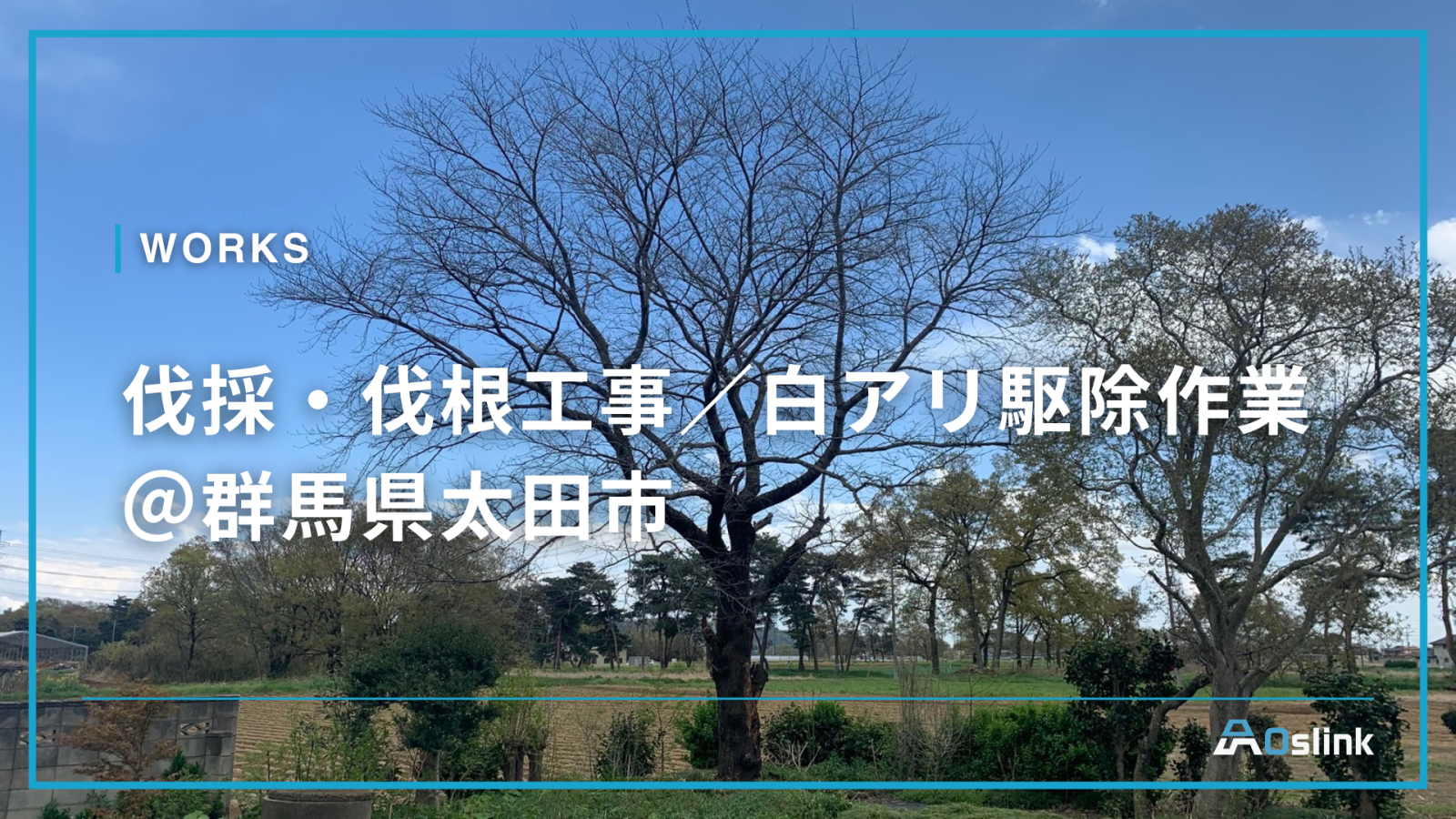 伐採・伐根工事／白アリ駆除作業＠群馬県太田市